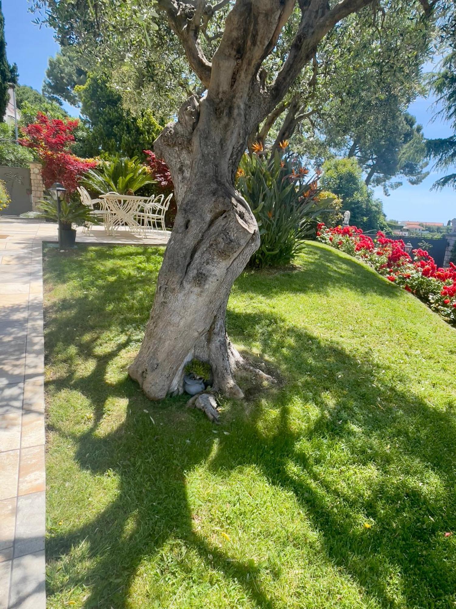 بورديغيرا Villa Gaia - Luxury Villa, Pool & Wellness Rooms المظهر الخارجي الصورة